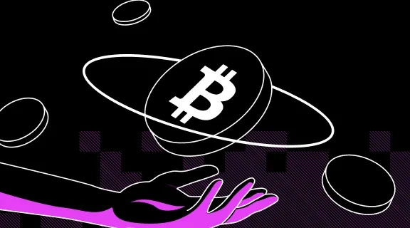 详细阅读:鲨鱼鳍使用小帖士 鲨鱼鳍使用小帖士